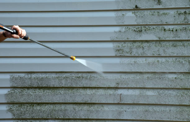 Best Attic Mold Removal  in Holmen, WI
