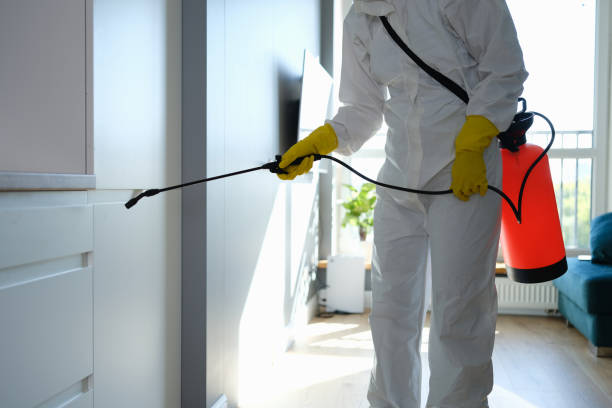 Best Mold Cleaning Services  in Holmen, WI
