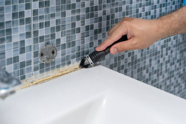 Home Mold Removal in Holmen, WI