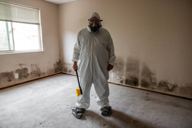 Best Mold Testing  in Holmen, WI